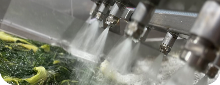 버블 세척 방식을 이용한 푸드윈 우거지 2차 위생 세척 과정